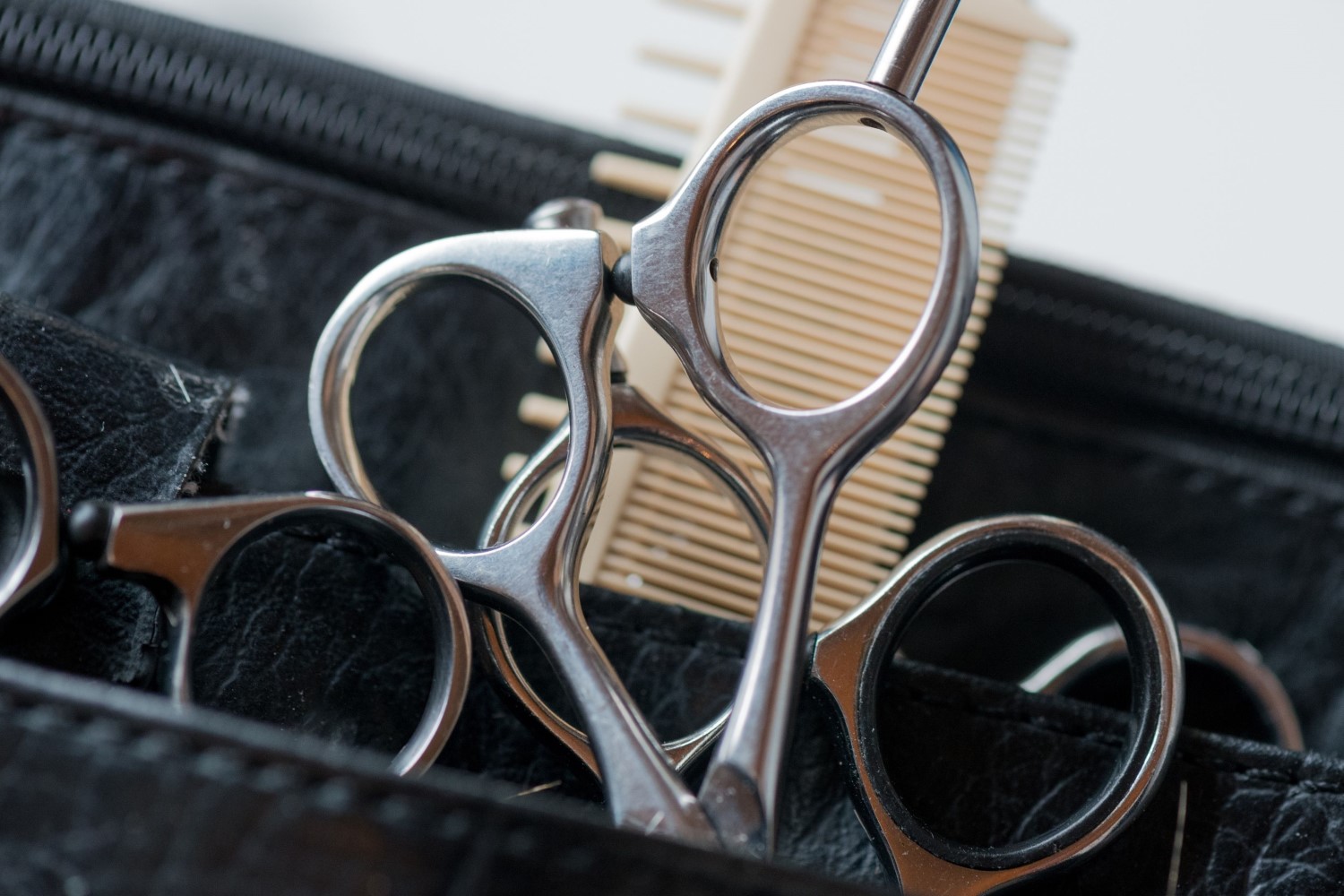 Trim Time Style Cuts