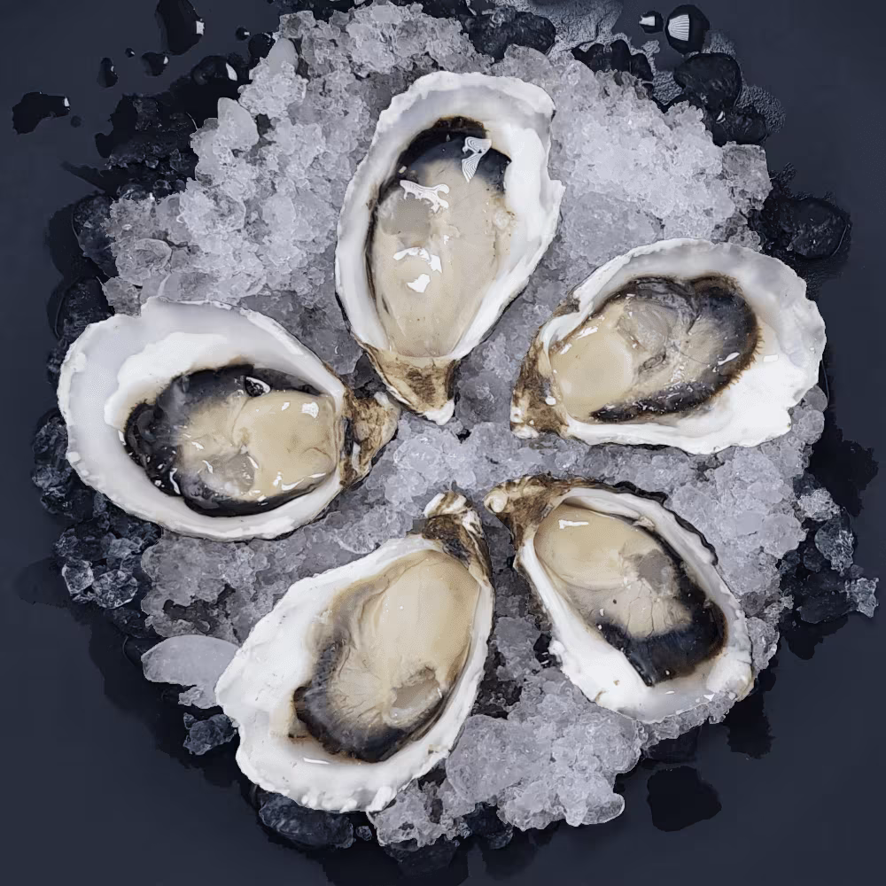 Hotel Jardin $3 Oysters